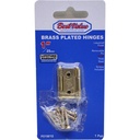 1" NARROW BRASS HINGE