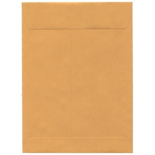 15 x 10 MANILLA ENVELOPE
